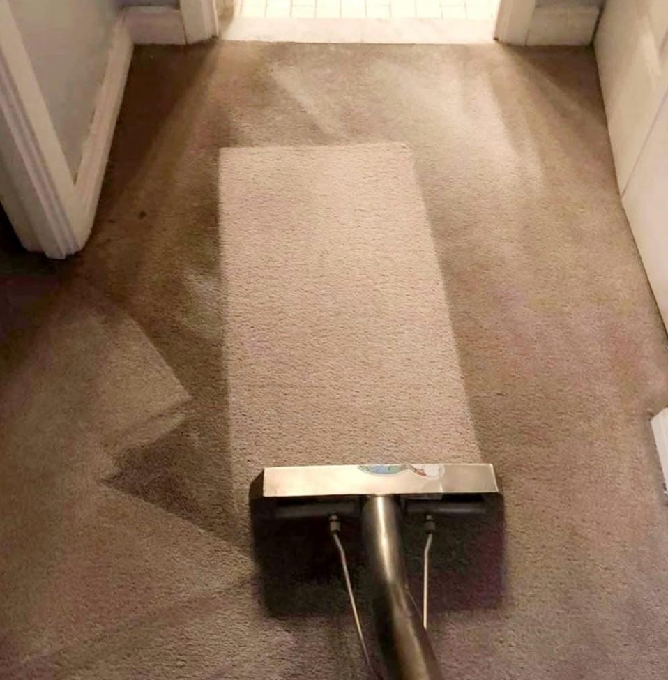 Cleaned carpet